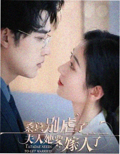 合伙人请签收 短剧在线看